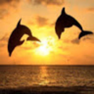 Meet your Posher, Colette